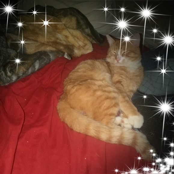 Meet your Posher, Catherine - Picture 1 of 1